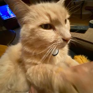 Meet your Posher, Leah